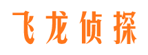 广陵侦探公司